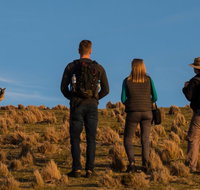 Small Group Tasmanias Wilderness And Wildlife Day Tour - New Castle Tourism