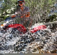 Quad Bike 2-Hour Adventure Freycinet National Park - New Castle Tourism