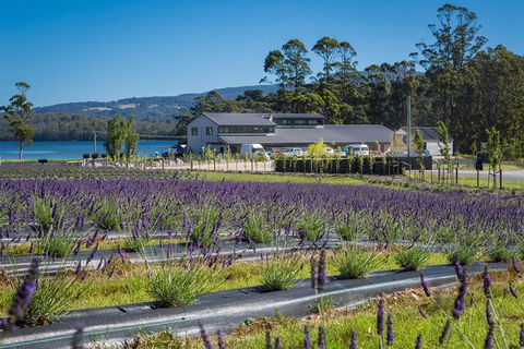 Private Tasman Peninsula Cruise Ship Tour From Port Arthur - Newcastle Accommodation 0