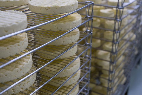 A Sommelier Guided Tour: Thursday Afternoon Wine Gin Cheese & Cocktails - Newcastle Accommodation 14