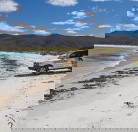 4X4 and Lunch Half Day Bicheno Coastal Mountain - New Castle Tourism