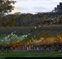 Barossa Valley with Hahndorf Tour from Adelaide - New Castle Tourism