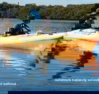 Adelaide Dolphin Sanctuary and Ships Graveyard Kayak Tour - New Castle Tourism