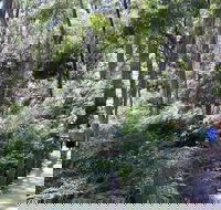Self-Guided Waterfall Gully to Mount Lofty Hike from Adelaide - New Castle Tourism