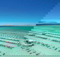 Coffin Bay Private Day Tour from Port Lincoln - A Taste of Coffin Bay - Newcastle Accommodation