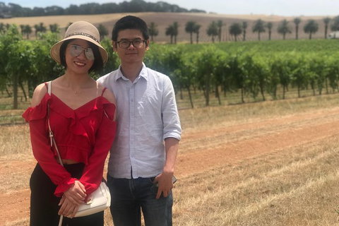 Adelaide City Highlights With Hahndorf And Mt. Lofty - Newcastle Accommodation 10