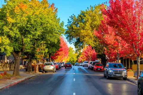 Adelaide City Highlights With Hahndorf And Mt. Lofty - Newcastle Accommodation 7