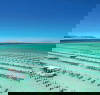 Coffin Bay Day Tour - A Taste of Coffin Bay - Newcastle Accommodation