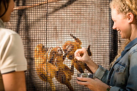 Adelaide Zoo Behind The Scenes Experience: Meet The Primates - Newcastle Accommodation 0