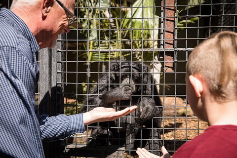 Adelaide Zoo Behind The Scenes Experience: Meet The Primates - Newcastle Accommodation 1