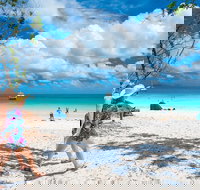 Whitehaven Beach Half-Day Cruises