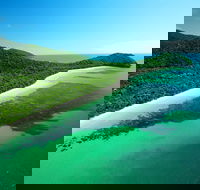 Cape Tribulation Mossman Gorge and Daintree Rainforest Day Trip from Cairns or Port Douglas - Newcastle Accommodation