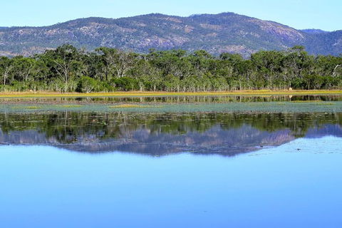 Daintree - Cape Tribulation & Atherton Tablelands Tours From Port Douglas - New Castle Tourism 13