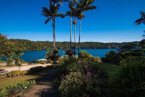 Daintree - Cape Tribulation & Atherton Tablelands Tours From Port Douglas - New Castle Tourism 25