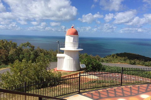 Daintree - Cape Tribulation & Atherton Tablelands Tours From Port Douglas - New Castle Tourism 21