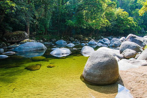 Daintree - Cape Tribulation & Atherton Tablelands Tours From Port Douglas - New Castle Tourism 6