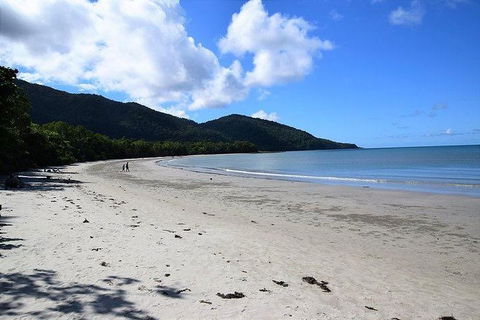 Daintree - Cape Tribulation & Atherton Tablelands Tours From Port Douglas - New Castle Tourism 18