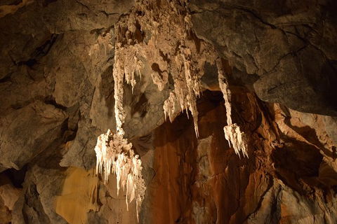 Daintree - Cape Tribulation & Atherton Tablelands Tours From Port Douglas - New Castle Tourism 23