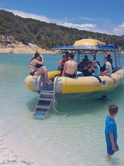 Ocean Rafting Tour To Whitehaven Beach, Hill Inlet Lookout & Top Snorkel Spots - Newcastle Accommodation 8