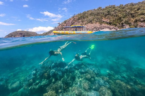 Ocean Rafting Tour To Whitehaven Beach, Hill Inlet Lookout & Top Snorkel Spots - Newcastle Accommodation 16