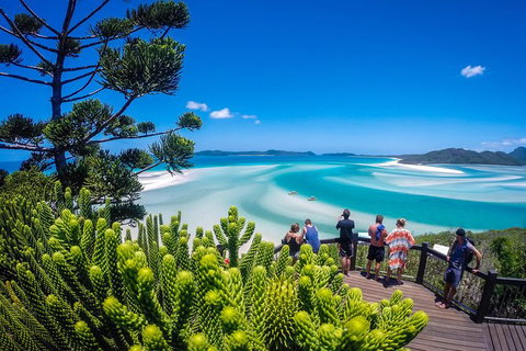 Ocean Rafting Tour To Whitehaven Beach, Hill Inlet Lookout & Top Snorkel Spots - Newcastle Accommodation 19