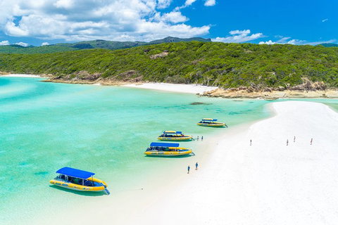 Ocean Rafting Tour To Whitehaven Beach, Hill Inlet Lookout & Top Snorkel Spots - Newcastle Accommodation 22