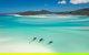 Ocean Rafting Tour To Whitehaven Beach, Hill Inlet Lookout & Top Snorkel Spots - thumb 25