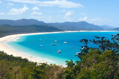 Whitehaven Beach And Hill Inlet | Awesome Beach BBQ | Family Friendly - Newcastle Accommodation 7