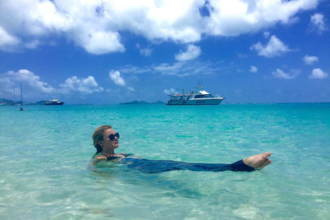 Whitehaven Beach And Hill Inlet | Awesome Beach BBQ | Family Friendly - Newcastle Accommodation 3