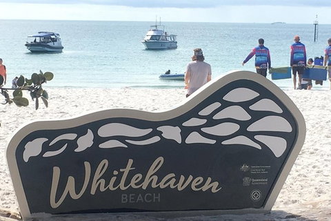 Whitehaven Beach And Hill Inlet | Awesome Beach BBQ | Family Friendly - Newcastle Accommodation 9