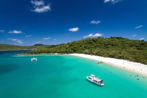 Whitehaven Beach And Hill Inlet | Awesome Beach BBQ | Family Friendly - Newcastle Accommodation 10