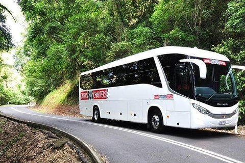 Palm Cove Departure Transfer - Palm Cove To Airport - Newcastle Accommodation 1