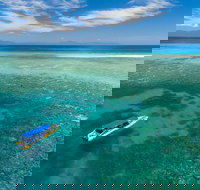 Ocean Safari Great Barrier Reef Experience in Cape Tribulation - New Castle Tourism