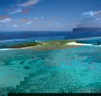 5-Day Fraser Island and Great Barrier Reef Tour - Newcastle Accommodation