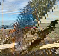 Goolimbil Walkabout Indigenous Experience in the Town of 1770 - New Castle Tourism