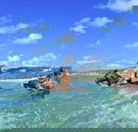 Horse Swimming Ride from Rainbow Beach - Newcastle Accommodation