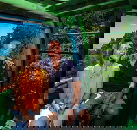 Skyrail Rainforest Cableway Day Trip from Palm Cove