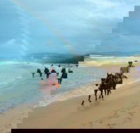 Rainbow Beach Horse Ride - Newcastle Accommodation