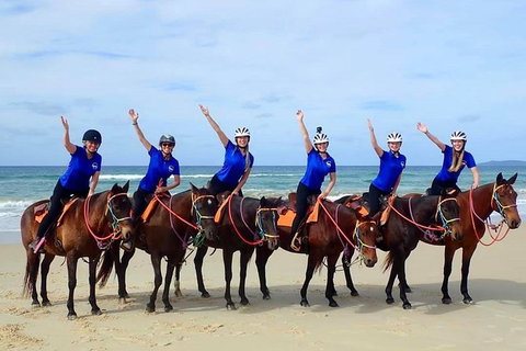 Rainbow Beach Horse Ride - Newcastle Accommodation 4