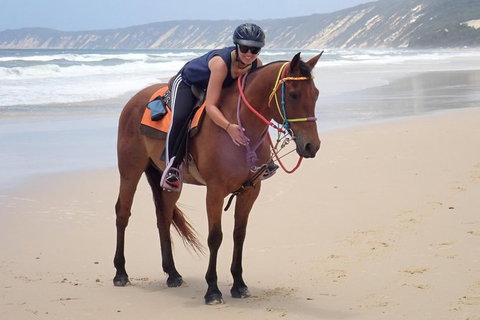 Rainbow Beach Horse Ride - Newcastle Accommodation 2