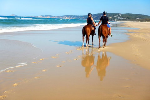 Rainbow Beach Horse Ride - Newcastle Accommodation 3