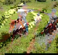 Country Day Ride from Mt Goomboorian with Rainbow Beach Horse Rides - Newcastle Accommodation