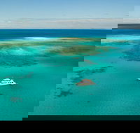 Great Barrier Reef Dive and Snorkel Cruise from Mission Beach - New Castle Tourism