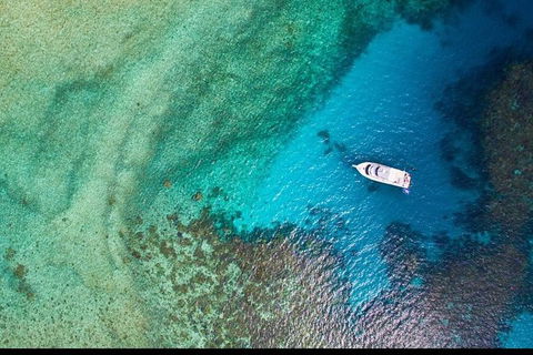 Great Barrier Reef Dive And Snorkel Cruise From Mission Beach - New Castle Tourism 3