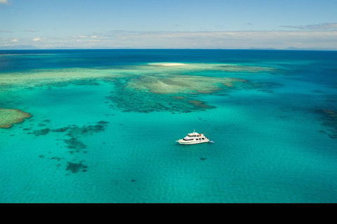 Great Barrier Reef Dive And Snorkel Cruise From Mission Beach - New Castle Tourism 2