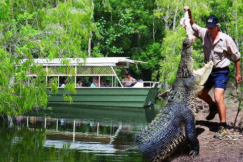 Crocs, Creatures And Culture Ex Northern Beaches - New Castle Tourism 1