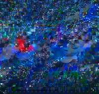 Infinity Attraction in Queensland Admission Ticket