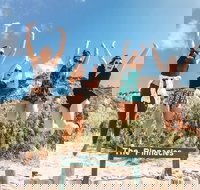 2-Day Fraser Island 4WD Adventure Tour Departing Rainbow Beach - Newcastle Accommodation