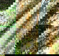 Rainforest  Waterfalls Extravaganza