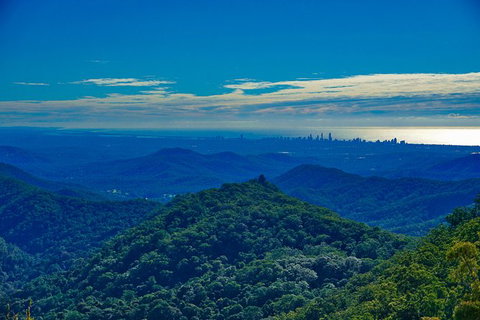 Rainforest & Waterfalls Extravaganza - Newcastle Accommodation 6